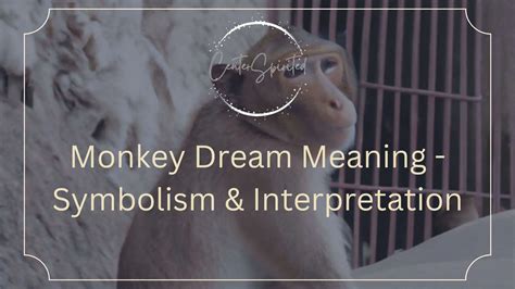 The Symbolism of Violent Monkeys in a Dream